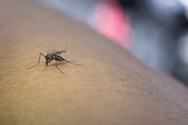 Malaria or Viral Fever